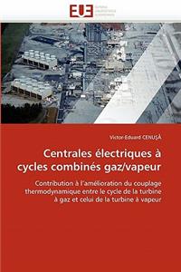 Centrales Électriques À Cycles Combinés Gaz/Vapeur