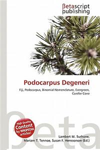 Podocarpus Degeneri