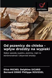 Od pszenicy do chleba - wplyw drożdży na wypieki