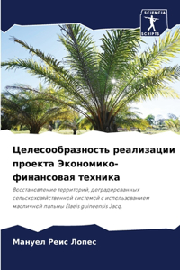 Целесообразность реализации проекта Эко&