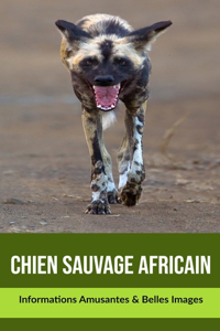 Chien Sauvage Africain: Informations Amusantes & Belles Images