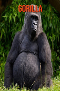 Gorilla