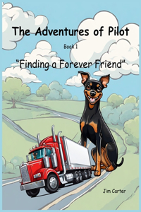 The Adventures of Pilot