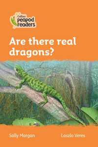 Collins Peapod Readers - Level 4 - Are There Real Dragons?