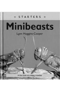 Read Write Inc. Comprehension: Module 24: Children's Books: Mini Beasts Pack of 5 books