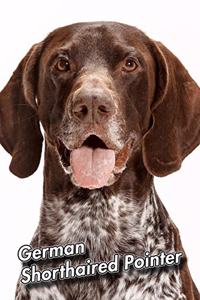 German Shorthaired Pointer