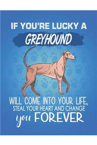 If You're Lucky A Greyhound Will Come Into Your Life, Steal Your Heart And Change You Forever