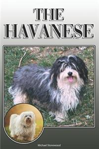 The Havanese