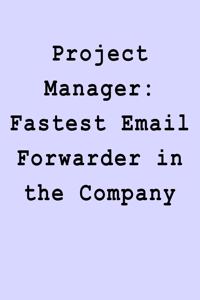 Project Manager