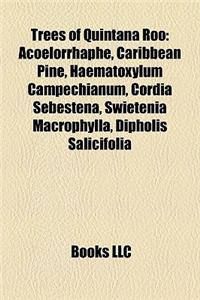 Trees of Quintana Roo