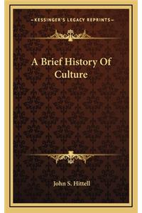 A Brief History Of Culture