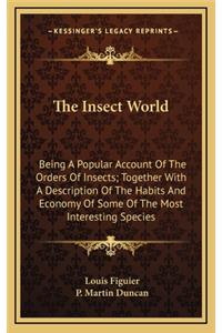 The Insect World