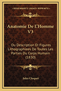Anatomie De L'Homme V3