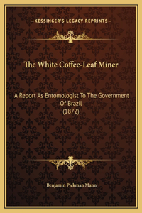 The White Coffee-Leaf Miner