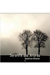 Serenite Des Arbres 2018