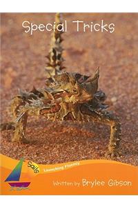 Rus Sneaky Tricks Fll N