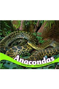 Anacondas