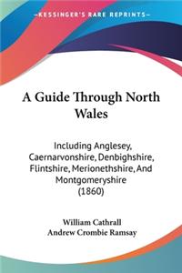 Guide Through North Wales: Including Anglesey, Caernarvonshire, Denbighshire, Flintshire, Merionethshire, And Montgomeryshire (1860)