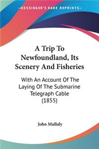 A Trip To Newfoundland, Its Scenery And Fisheries