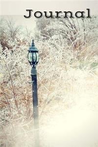 Winter Journal