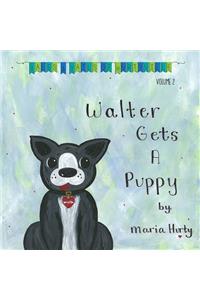 Walter Gets A Puppy