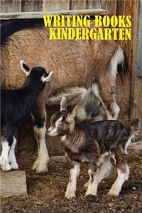 Writing Books Kindergarten