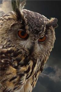 Eagle Owl Close-Up Portrait Raptor Bird Journal