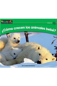 +c=mo Crecen Los Animales Bebt? Leveled Text
