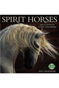 Spirit Horses 2021 Wall Calendar