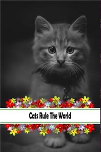 Cats Rule The World