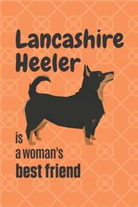 Lanchashire Heeler is a woman's Best Friend