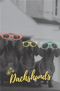 Dachshund Notebook