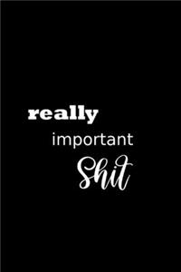 2020 Daily Planner Funny Humorous Really Important Shit Plans 388 Pages