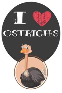 I Heart Ostrichs