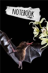 Bat Notebook