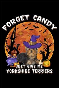 Forget Candy Just Give Me Yorkshire Terriers