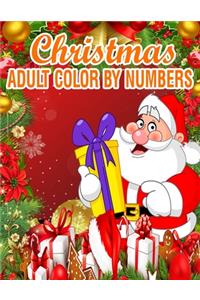 Christmas Adult Color By Numbers
