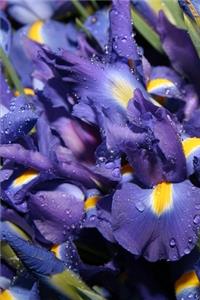 2020 Weekly Planner Flowers Beautiful Blue Iris 134 Pages