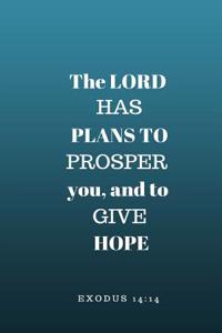 The Lord Has Plans to Prosper You and to Give You Hope