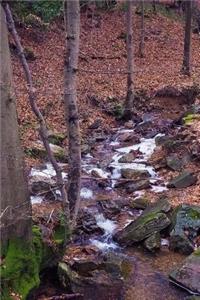 Autumn Stream in the Hills with the Leaves of Fall Journal