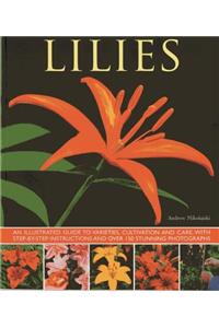 Lilies