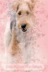 Wire Haired Fox Terrier