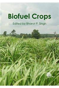 Biofuel Crops