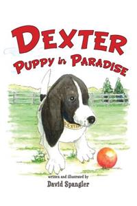 Dexter, Puppy in Paradise