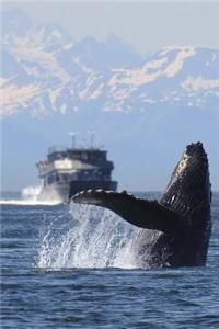 Humpback Whale Breaching the Water in Alaska Journal