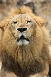 Lion Pride Notebook