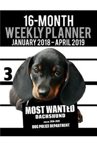 2018-2019 Weekly Planner - Most Wanted Dachshund