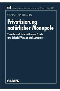 Privatisierung natürlicher Monopole