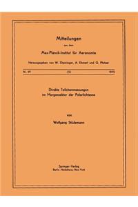 Direkte Teilchenmessungen im Morgensektor der Polarlichtzone