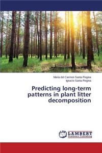 Predicting Long-Term Patterns in Plant Litter Decomposition